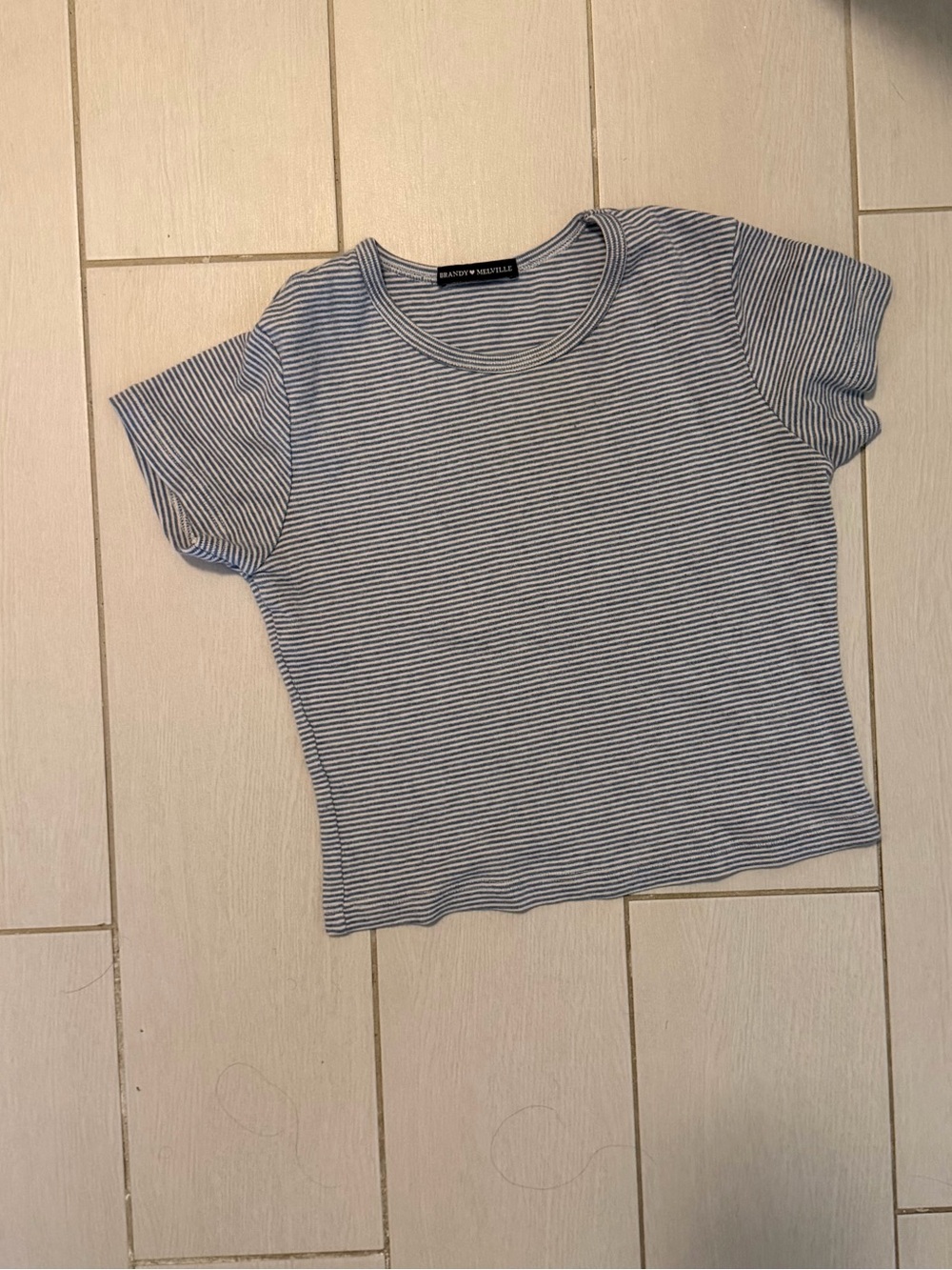 Brandy Melville Blue & White Striped Short Sleeve Tee